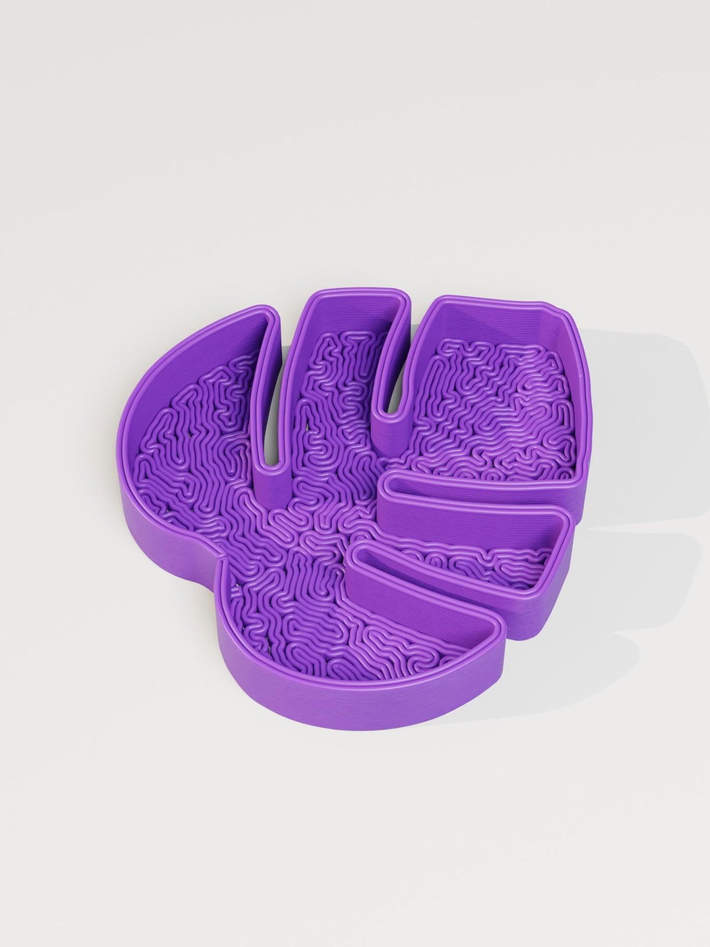 Monstera Leaf Tray