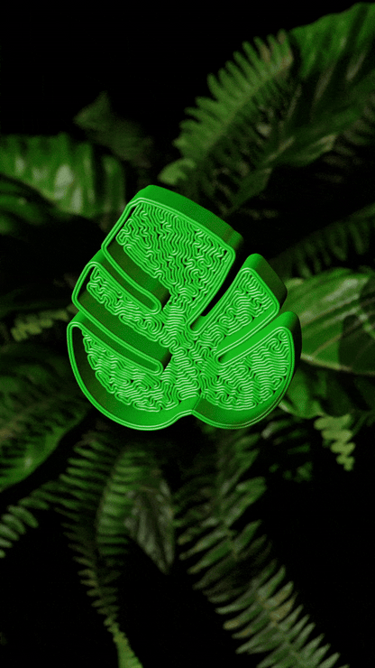 Monstera Leaf Tray