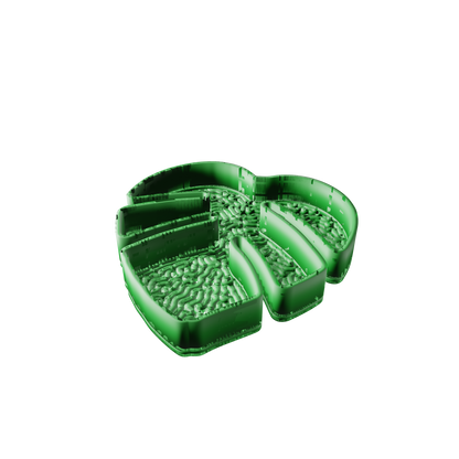 Monstera Leaf Tray