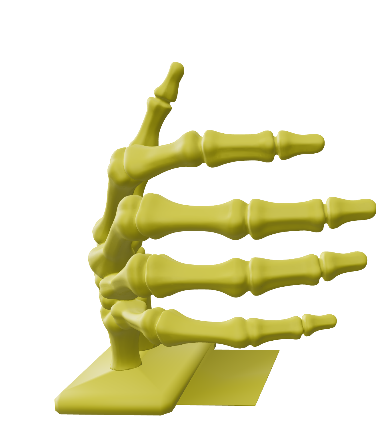 Skeleton Hand Bookend