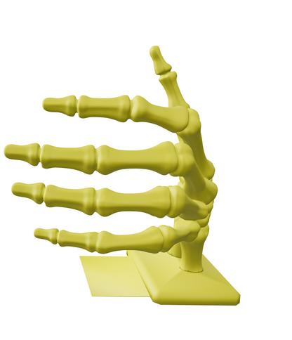 Skeleton Hand Bookend