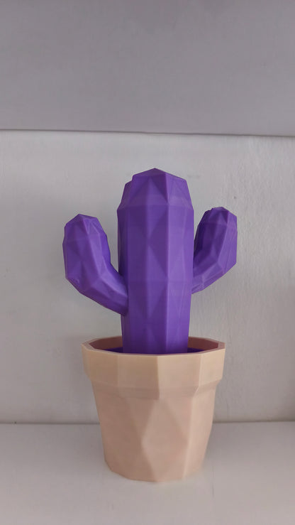Cactus Organizer